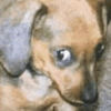 lucifurr030
